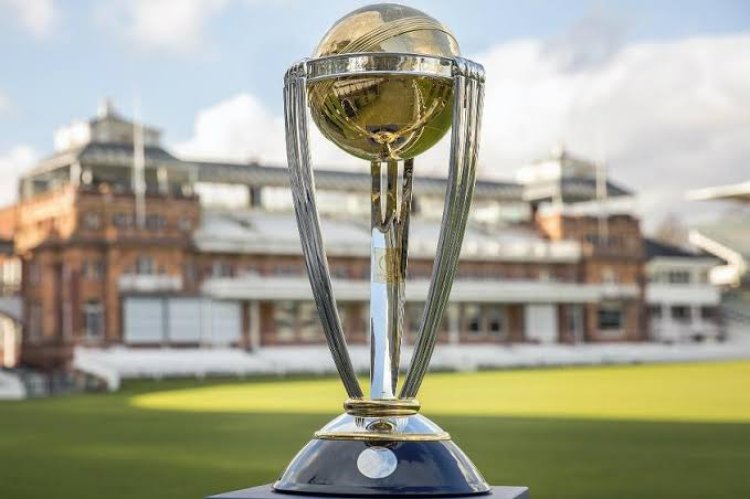 ODI World Cup 2023: BCCI Set To Form Working Group For Tournament