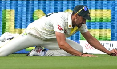 'That is the biggest load of rubbish I have ever seen' - McGrath's over Starc catch controversy