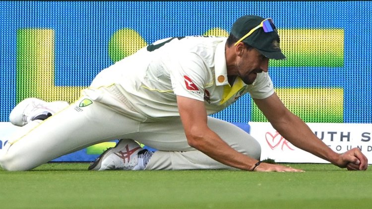 'That is the biggest load of rubbish I have ever seen' - McGrath's over Starc catch controversy