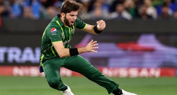 Watch: PCB chief Zaka Ashraf names Shaheen Afridi among world’s best batters