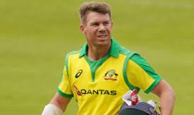 David Warner can bat at No. 4 in ODI World Cup: Tim Paine