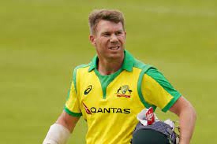 David Warner can bat at No. 4 in ODI World Cup: Tim Paine